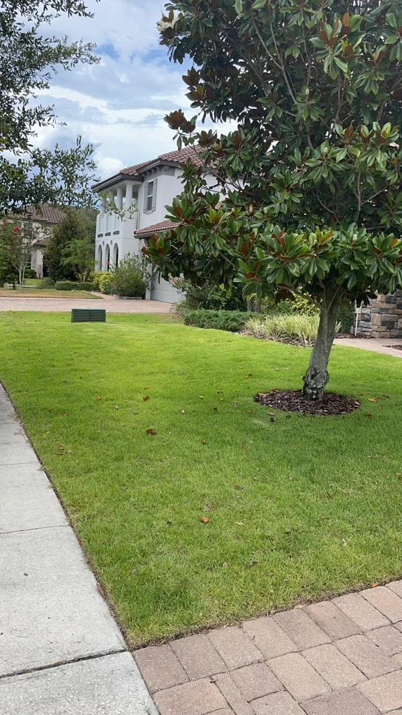 SNB Landscape Services INC 18